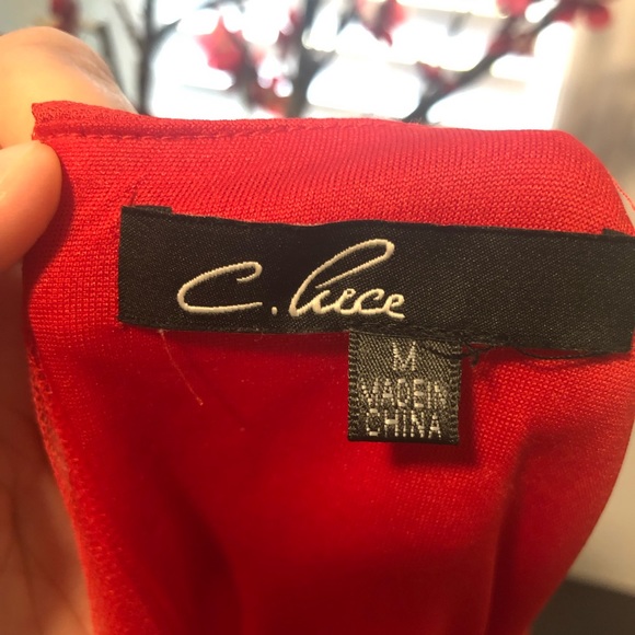 C. Luce Red Short Sleeve Dress - Picture 6 of 8